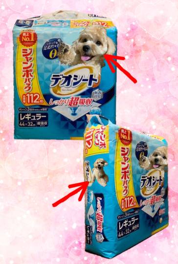 生き物ルーム第37