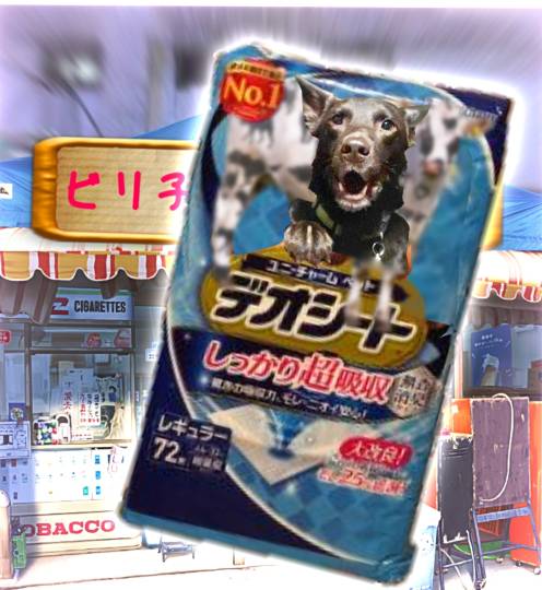 生き物ルーム第36