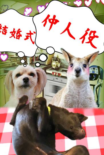 生き物ルーム第37