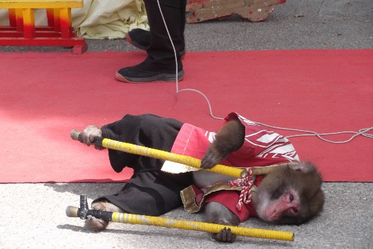 生き物ルーム第37