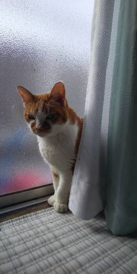 生き物ルーム第38