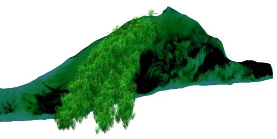 生き物ルーム第39