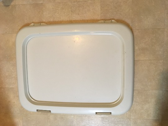 生き物ルーム第36