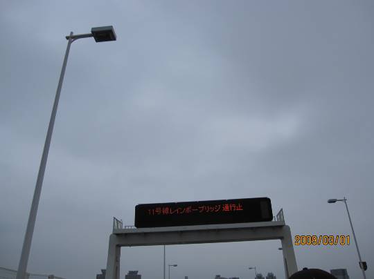 生き物ルーム第37