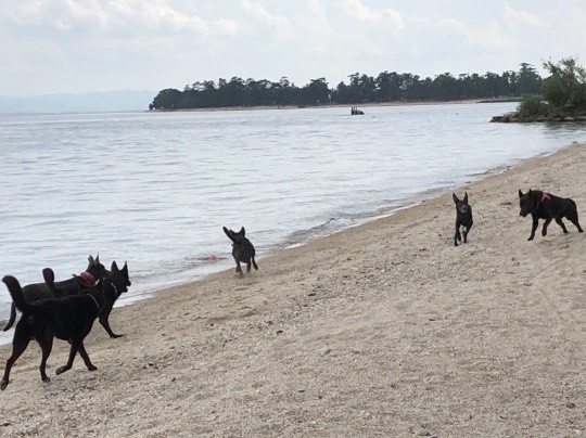 生き物ルーム第39
