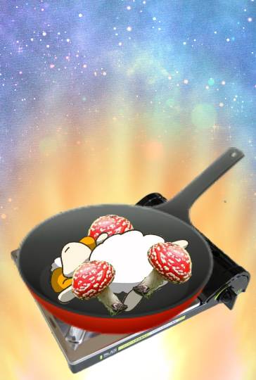 生き物ルーム第37