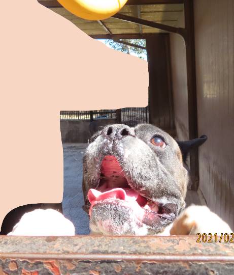 生き物ルーム第36