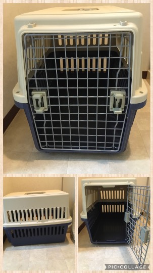 生き物ルーム第36