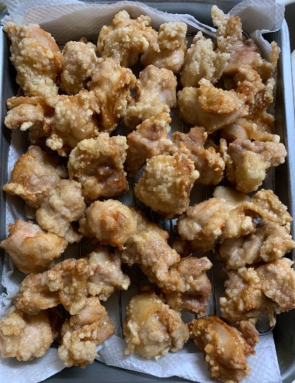 生き物ルーム第39