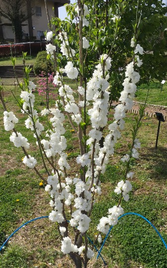 ★ドンキ♡♡ロピア 雑談23★