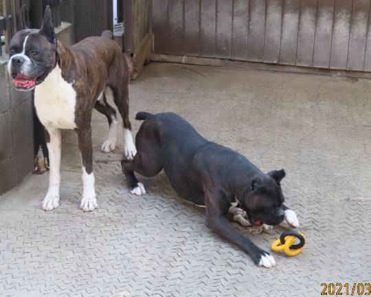 生き物ルーム第39