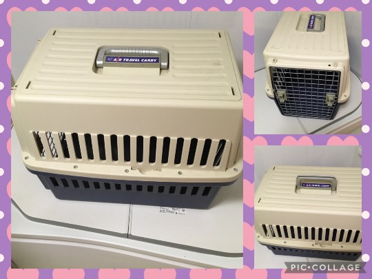 生き物ルーム第36