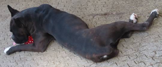 生き物ルーム第39