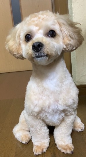 生き物ルーム第38