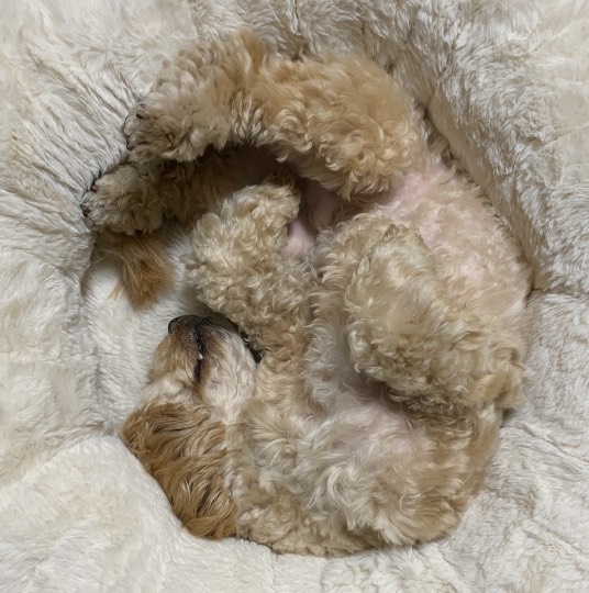 生き物ルーム第36