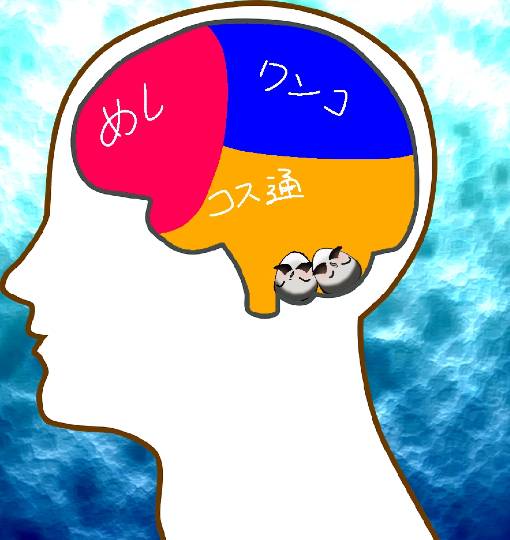 生き物ルーム第39