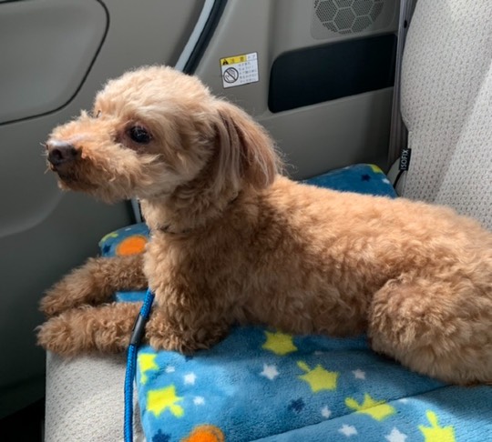 生き物ルーム第39