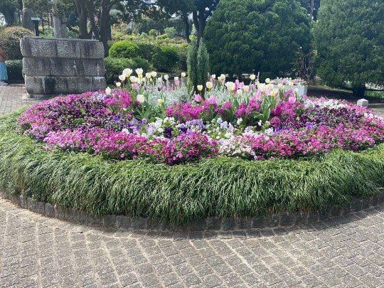 ◆⑩関西版 雑談◆〜関西以外の方も話の輪にどうぞ♪