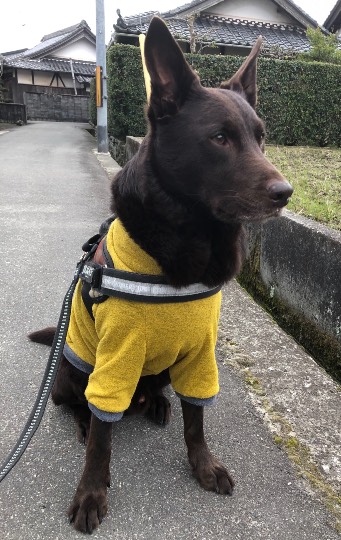 生き物ルーム第38