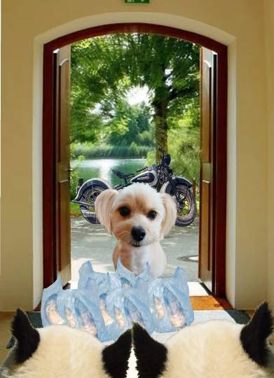 生き物ルーム第38