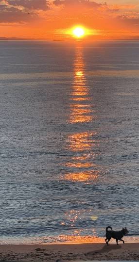 生き物ルーム第39