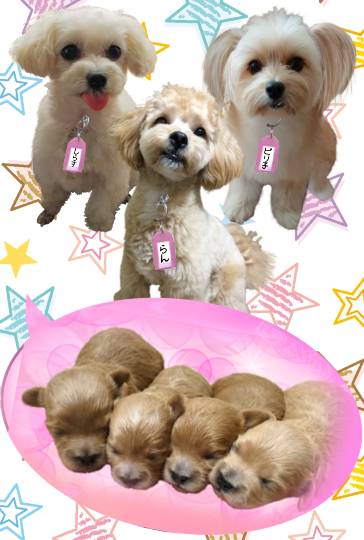 生き物ルーム第38