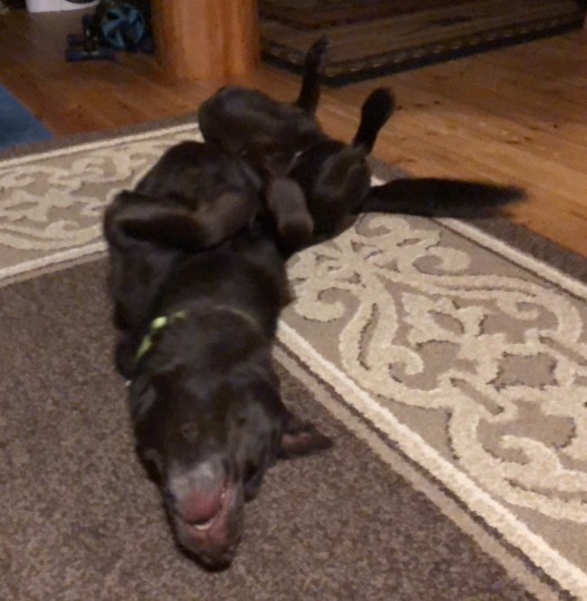 生き物ルーム第37