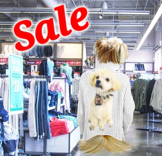 生き物ルーム第38