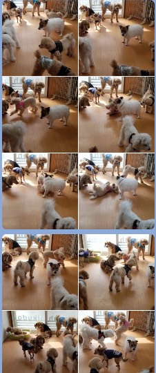 生き物ルーム第38