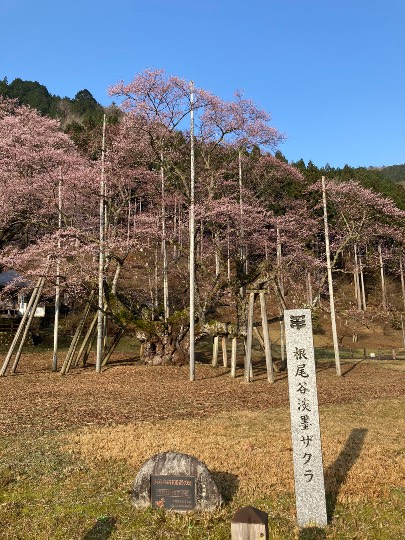 ★ドンキ♡♡ロピア 雑談22★