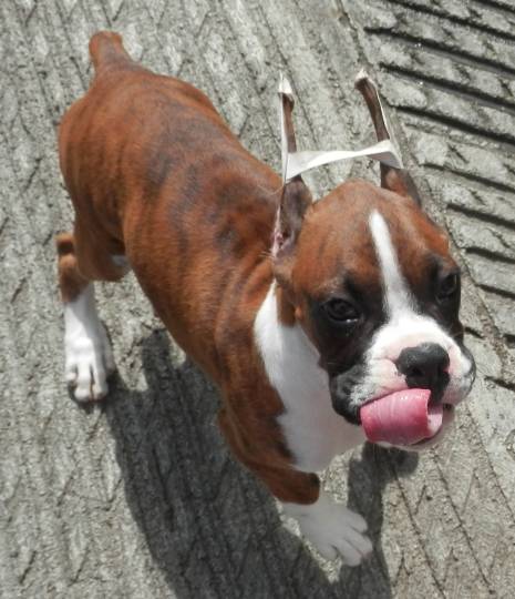 生き物ルーム第39