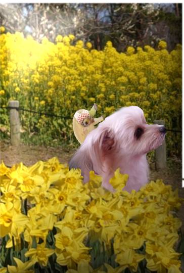 生き物ルーム第37