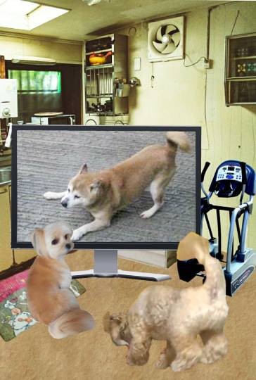 生き物ルーム第39