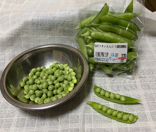 生き物ルーム第37