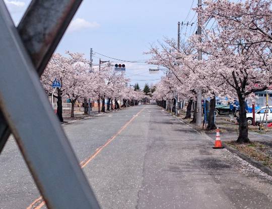 マスク同窓会詰所兼ニューフェイス歓迎所18