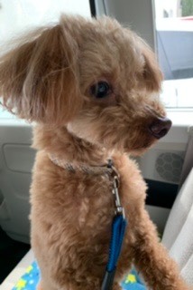 生き物ルーム第39