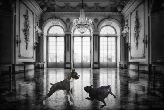 生き物ルーム第39