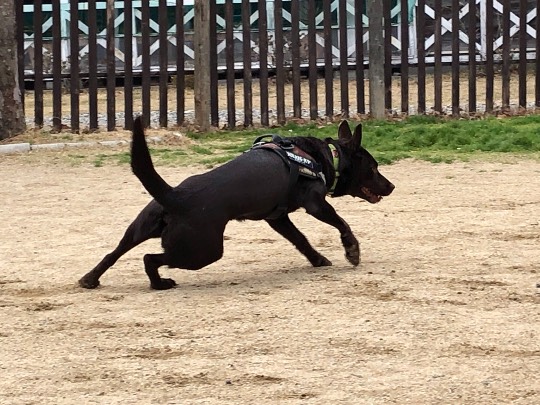 生き物ルーム第36