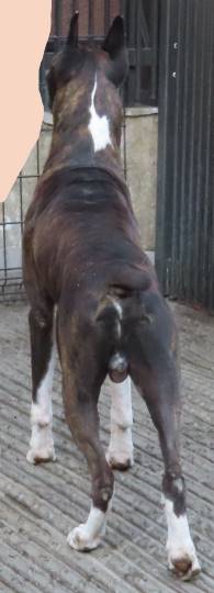 生き物ルーム第36