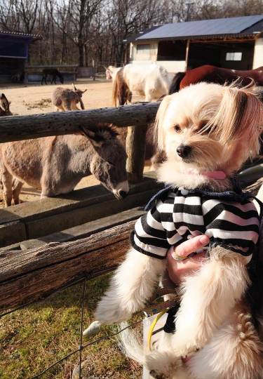 生き物ルーム第37