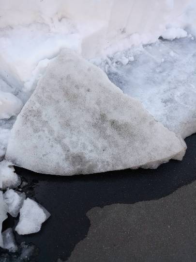 つぶやき57 なるようにする2021