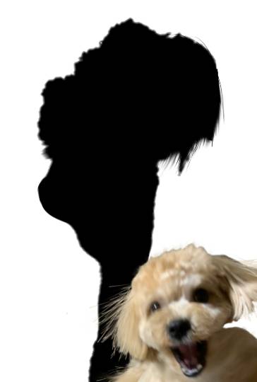 生き物ルーム第39