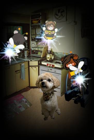 生き物ルーム第38