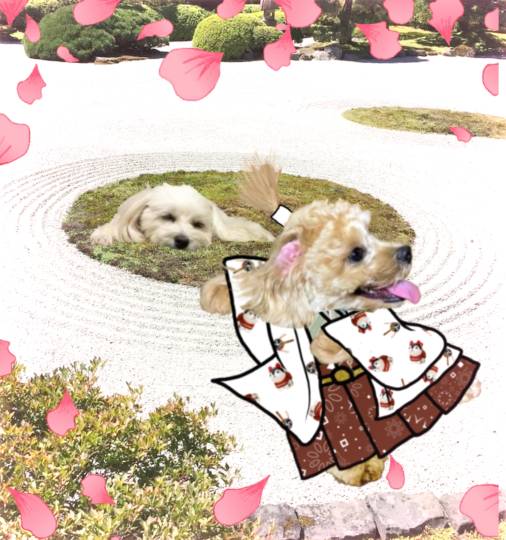 生き物ルーム第37