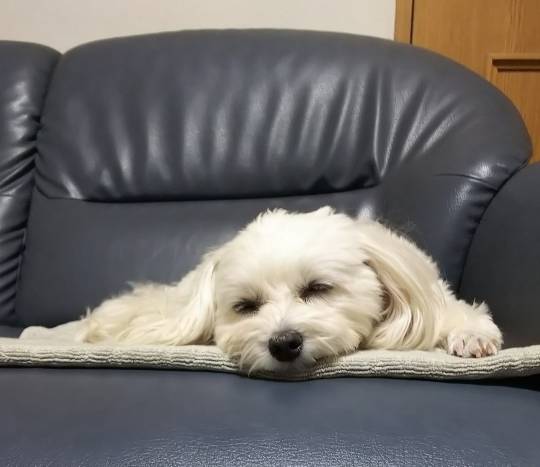 生き物ルーム第37