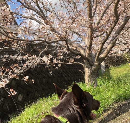 生き物ルーム第39
