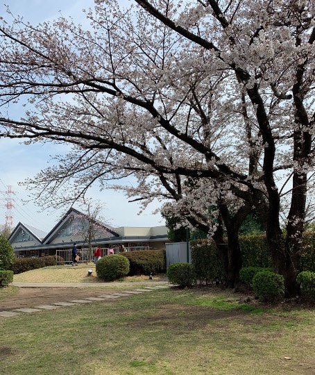 マスク同窓会詰所兼ニューフェイス歓迎所19