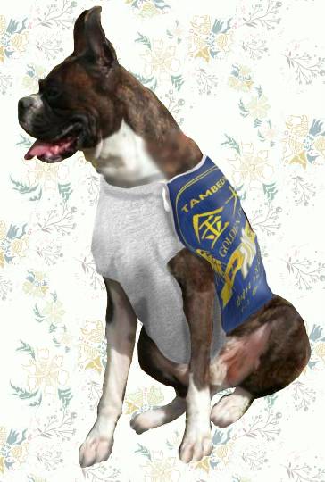 生き物ルーム第38