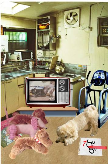 生き物ルーム第39