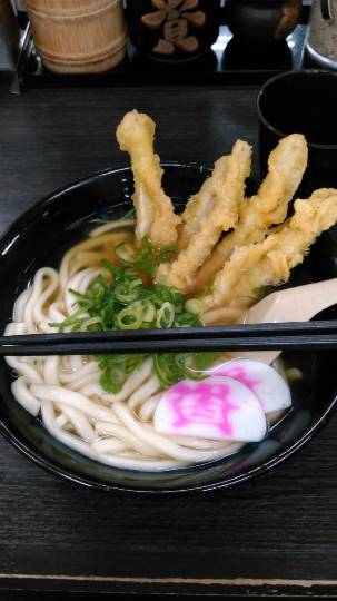 生き物ルーム第38